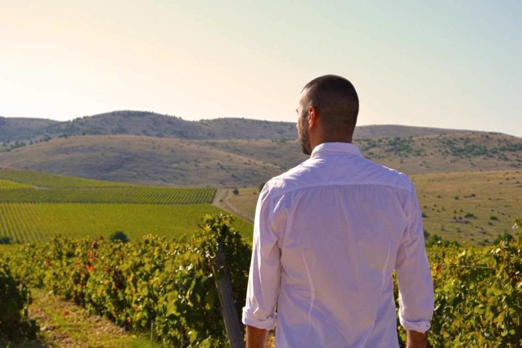 Juraj Sladić pogled na vinograde Testament vinarije