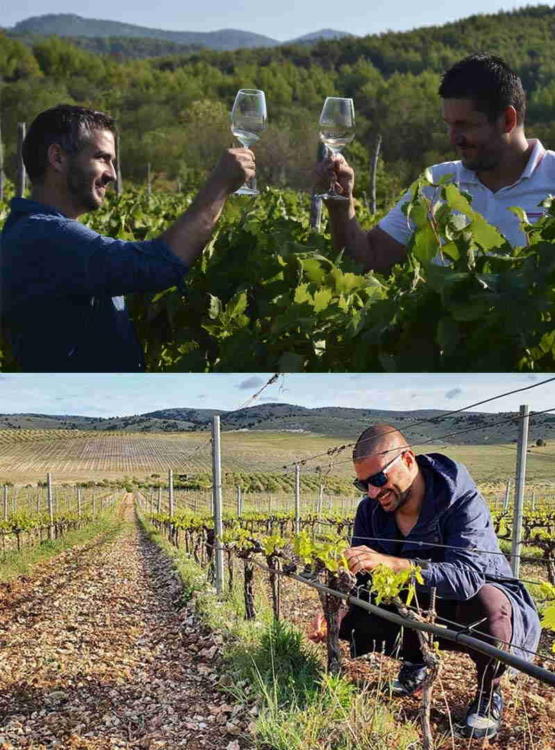 Postavili smo pitanja našim vinarima Igor Radovanović, Nikola Mirošević, Juraj Sladić